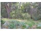131 Burralow Road, Kurrajong Heights NSW 2758