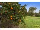 193A East Kurrajong Road, East Kurrajong NSW 2758