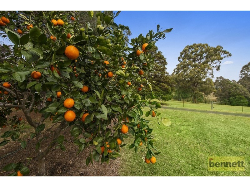 193A East Kurrajong Road, East Kurrajong NSW 2758