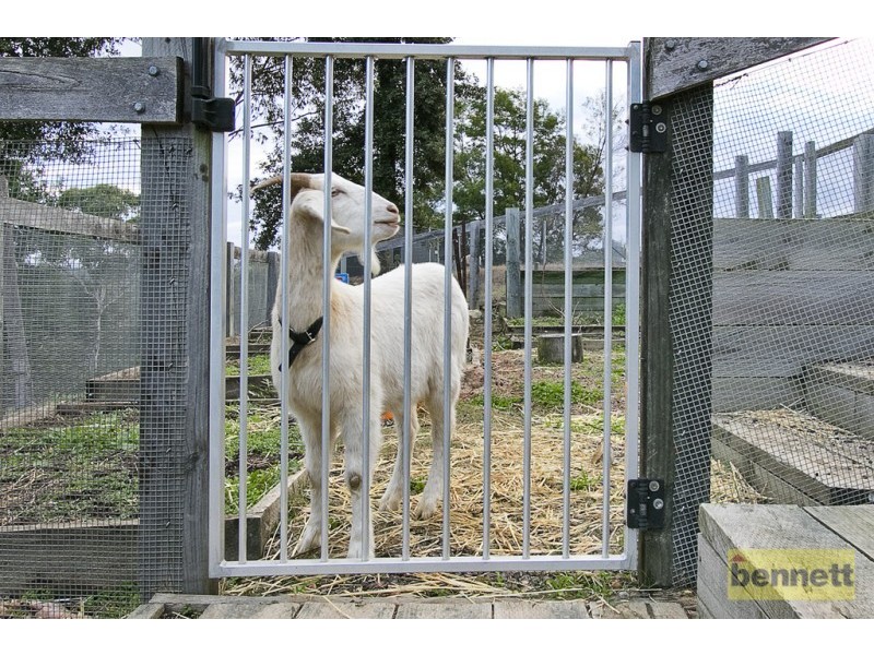 113 Teale Road, East Kurrajong NSW 2758