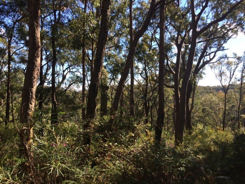 12 Coach House Road, Kurrajong Heights NSW 2758