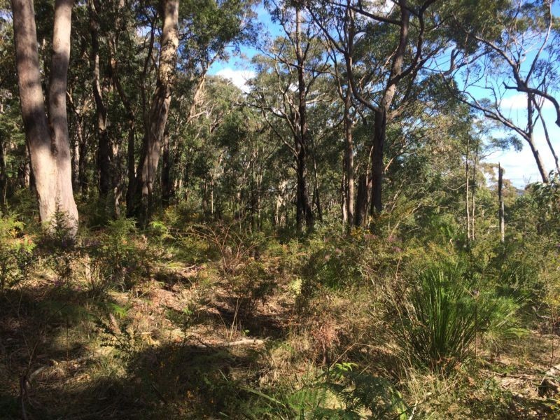 12 Coach House Road, Kurrajong Heights NSW 2758