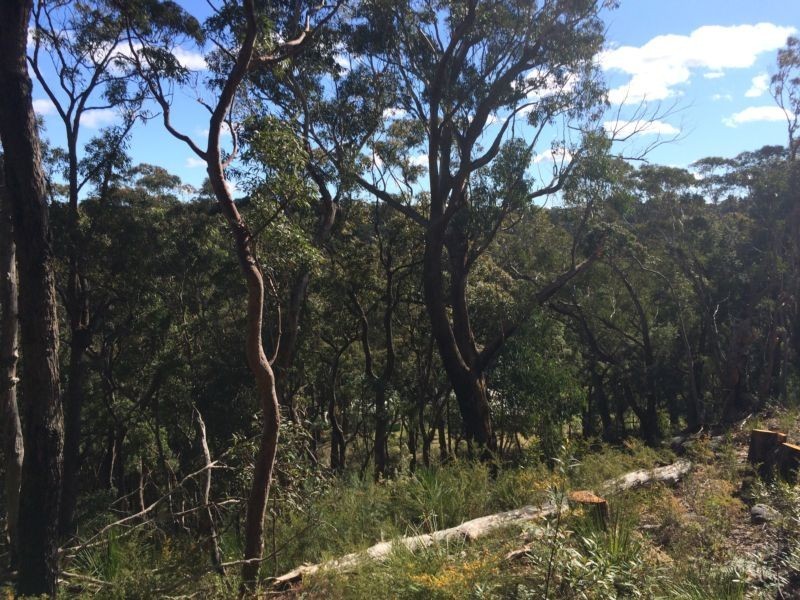 12 Coach House Road, Kurrajong Heights NSW 2758