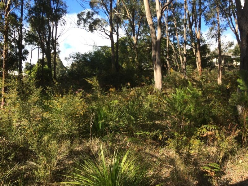 12 Coach House Road, Kurrajong Heights NSW 2758