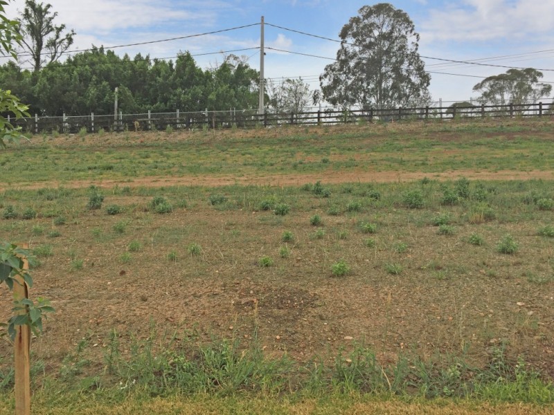 Lot 217 Mountain View Estate, North Richmond NSW 2754