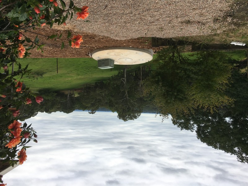 746 Grose Vale Road, Grose Vale NSW 2753