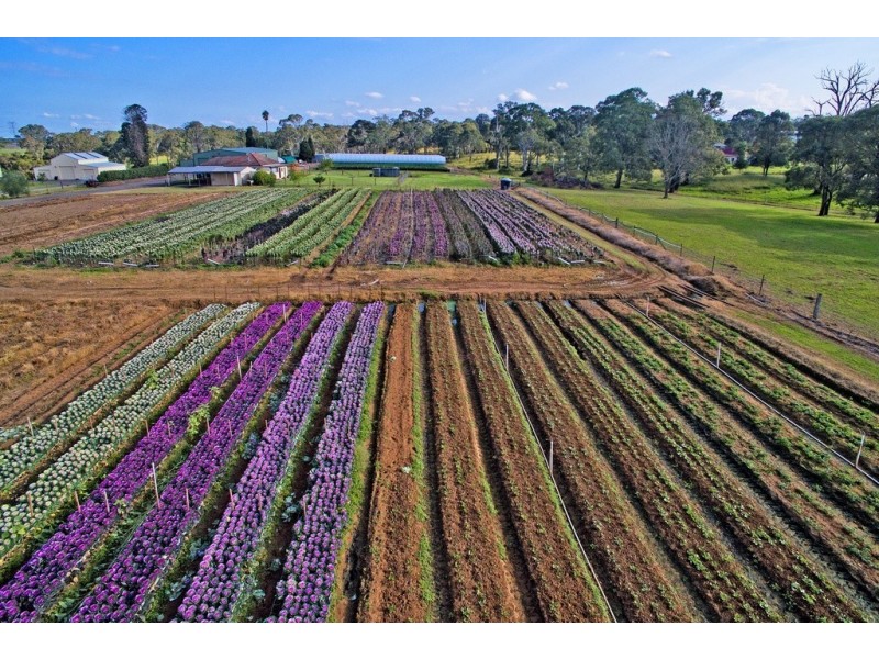 836 Richmond Road, Berkshire Park NSW 2765