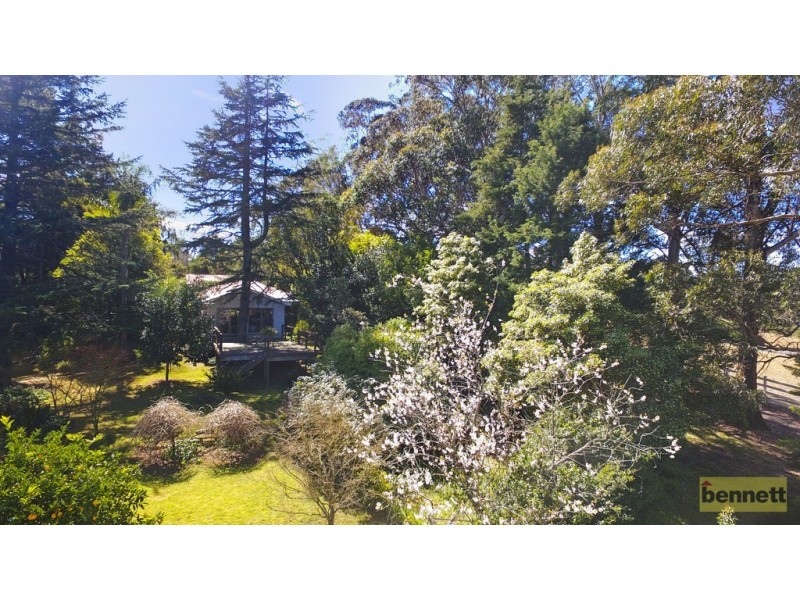 17 Hanlons Road South, Bilpin NSW 2758