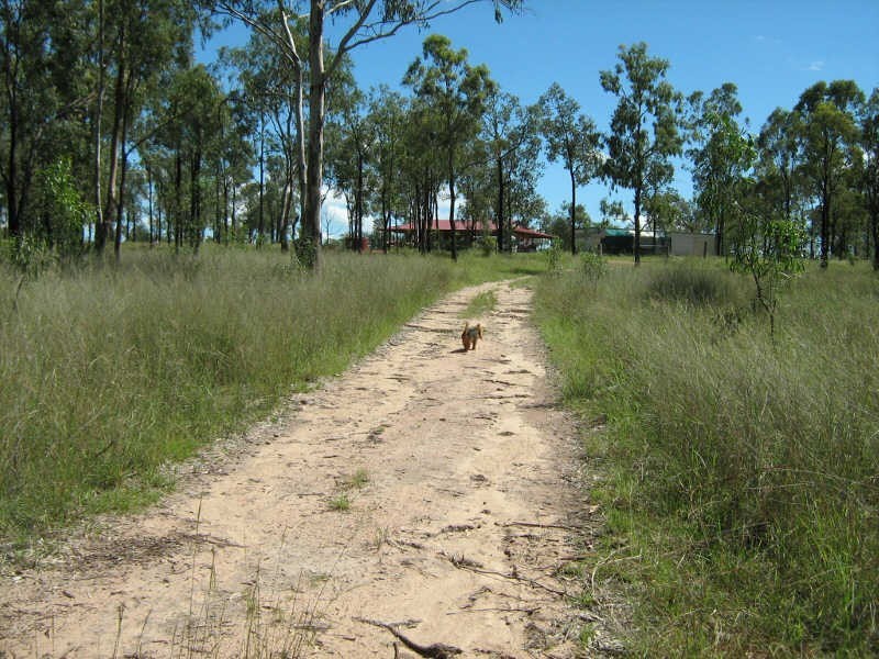 11998 Chinchilla Wondai Road, Ballogie QLD 4610