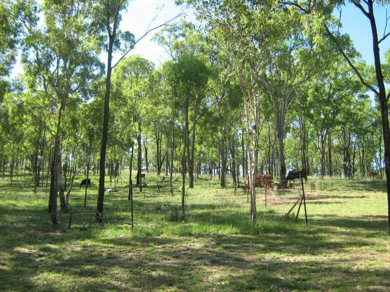 145 Pimpimbudgee Road, Brooklands QLD 4615