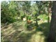 145 Pimpimbudgee Road, Brooklands QLD 4615