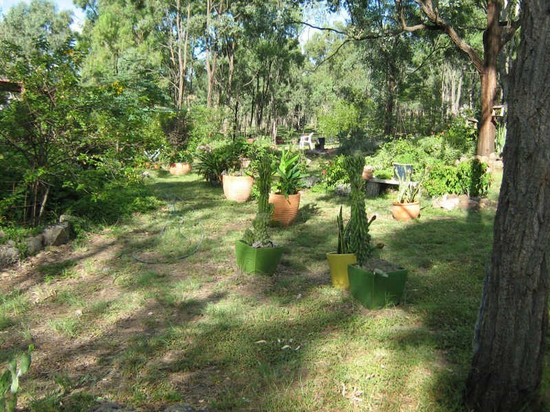 145 Pimpimbudgee Road, Brooklands QLD 4615