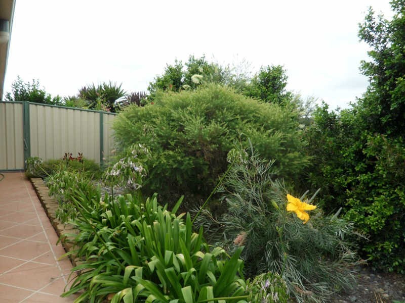 76 Ivy Street, Kingaroy QLD 4610