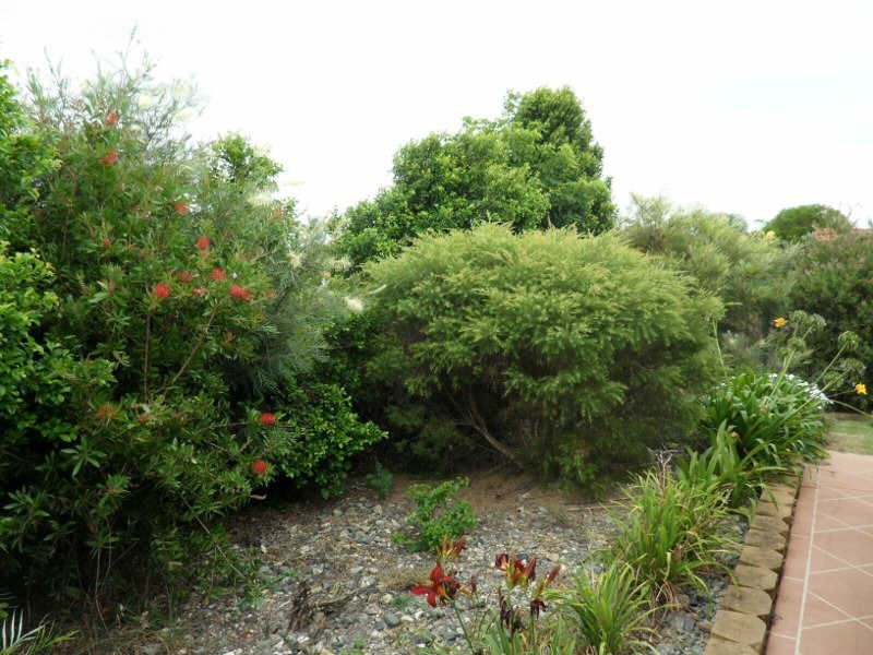 76 Ivy Street, Kingaroy QLD 4610
