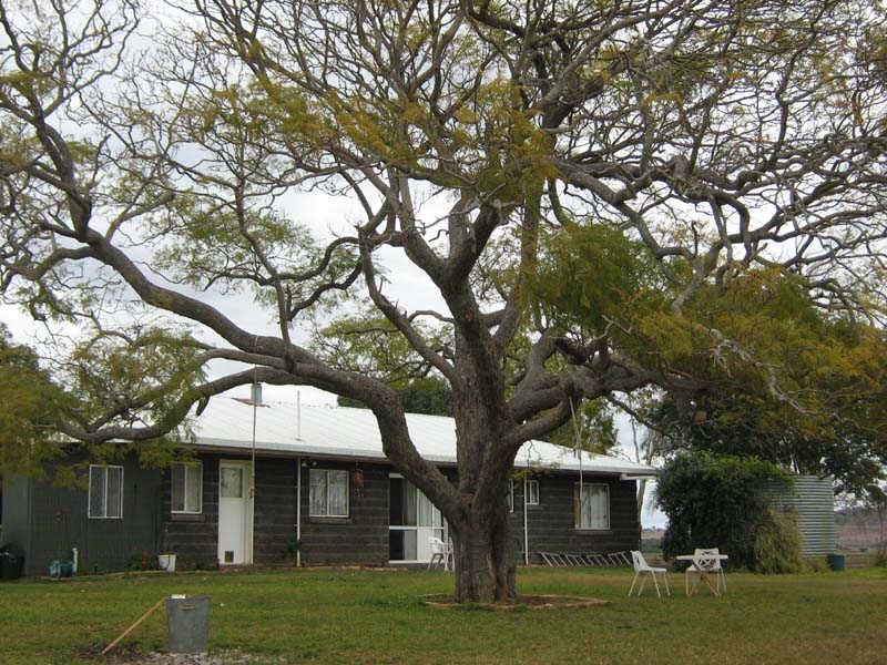 270 Springs Road, Fairdale QLD 4606