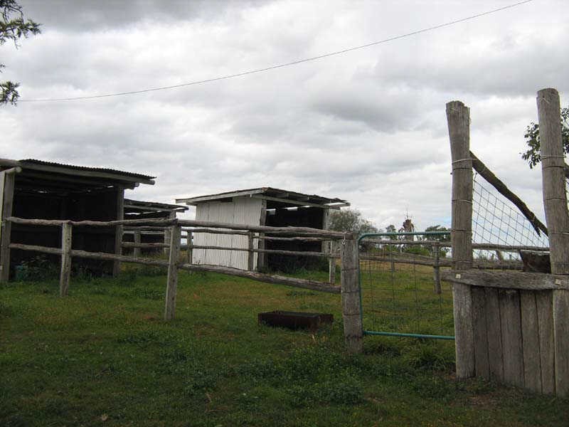 270 Springs Road, Fairdale QLD 4606