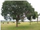 270 Springs Road, Fairdale QLD 4606