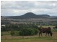 270 Springs Road, Fairdale QLD 4606