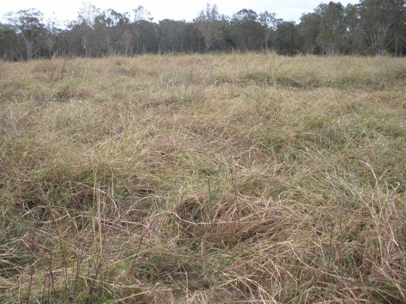 143 Old Esk North Road, Nanango QLD 4615