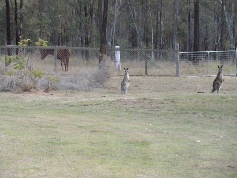 257 Evans Road, Ballogie QLD 4610