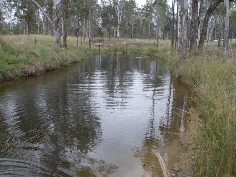 16 Birch Road, Wattle Camp QLD 4615