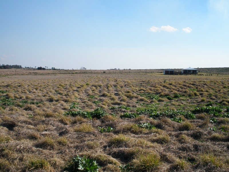 Lot 49 Butler Drive, Proston QLD 4613