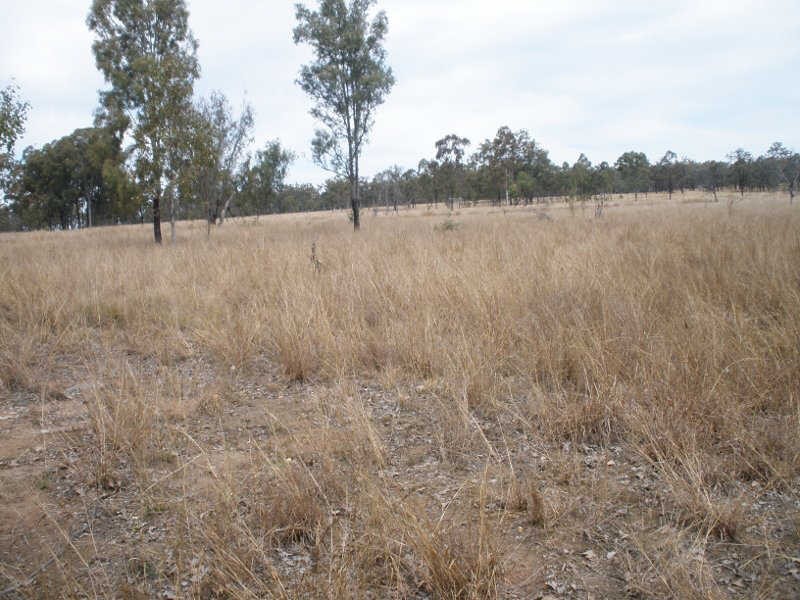 Lot 10 McPhee Road, Durong QLD 4610