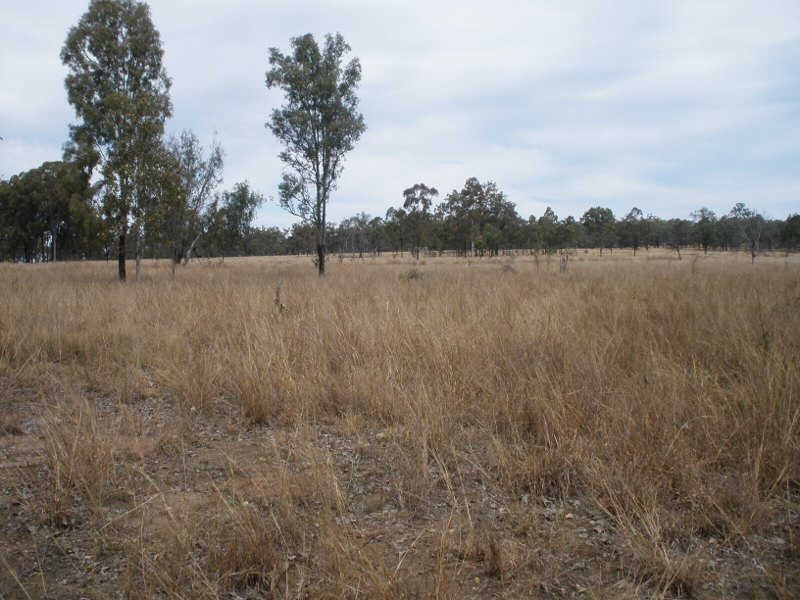 Lot 10 McPhee Road, Durong QLD 4610