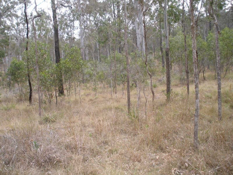 Lot 41 Franklins Road, Wattle Camp QLD 4615