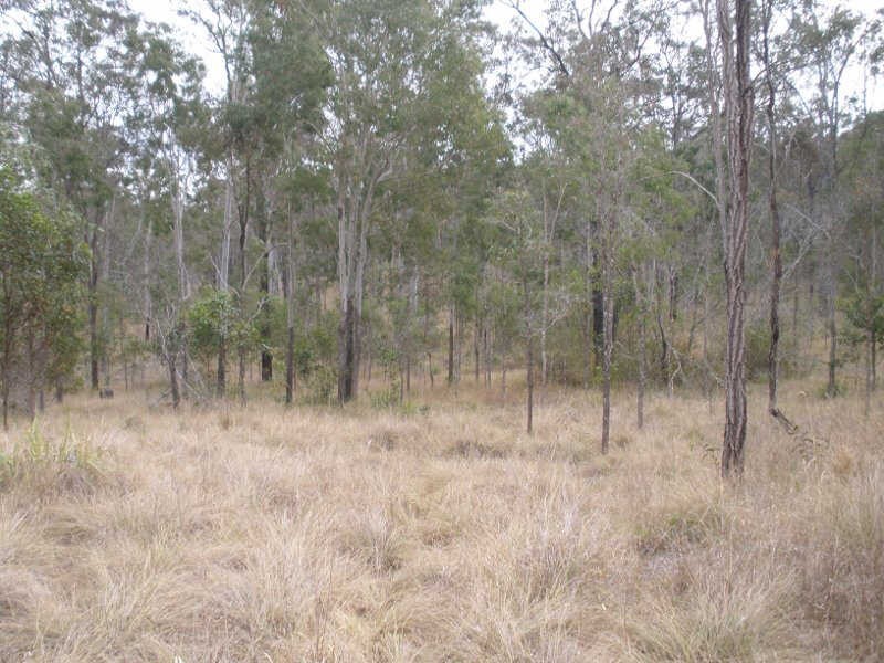 Lot 41 Franklins Road, Wattle Camp QLD 4615