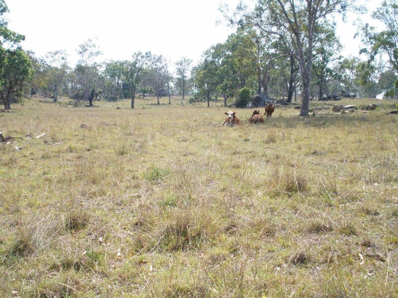 Lot 49 Maidenwell Upper Yarraman Road, Maidenwell QLD 4615