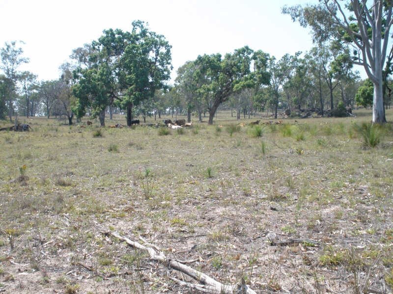 Lot 49 Maidenwell Upper Yarraman Road, Maidenwell QLD 4615
