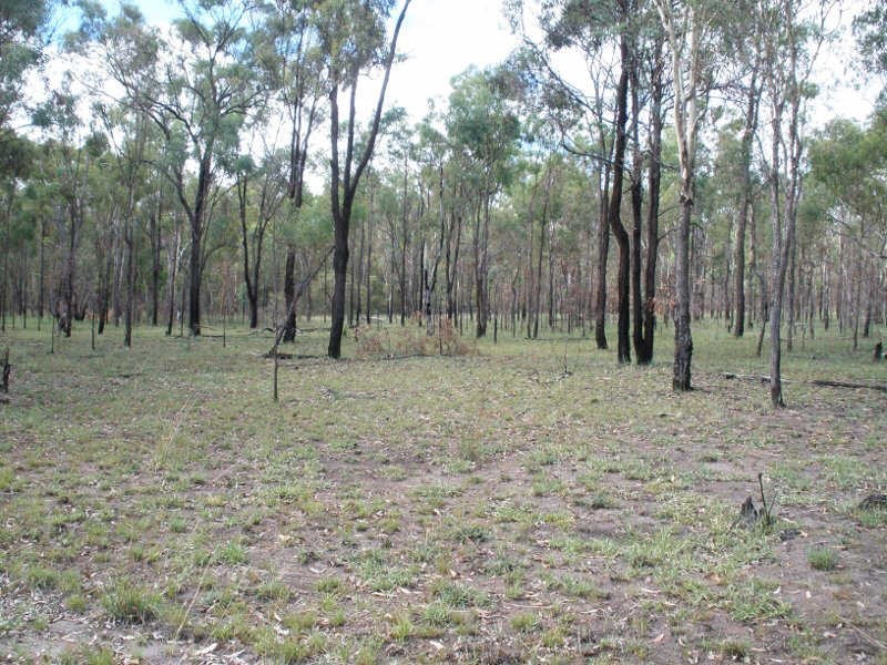 520 Shellytop Road, Durong QLD 4610