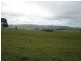 417 Birt Road, Corndale QLD 4610
