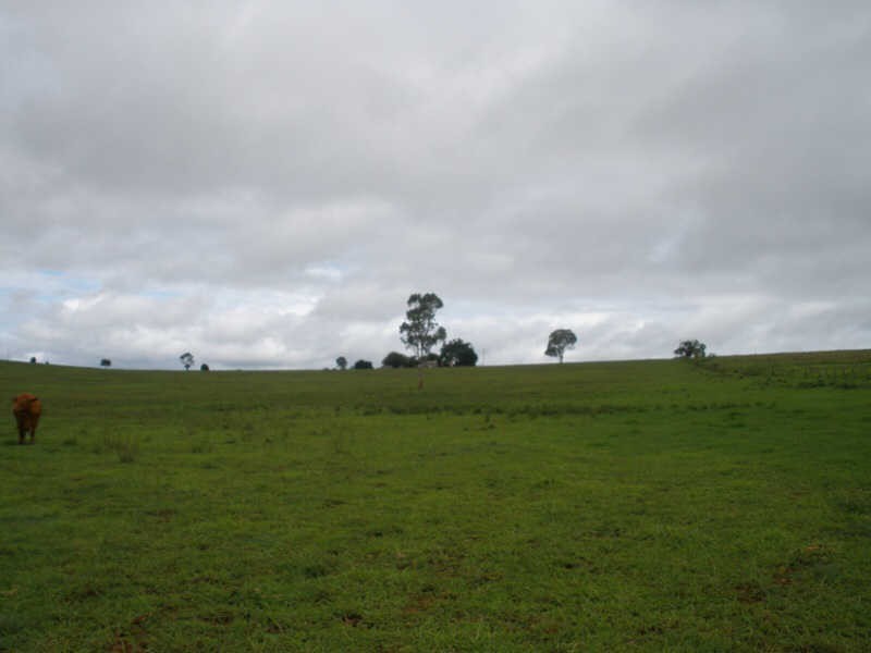 417 Birt Road, Corndale QLD 4610