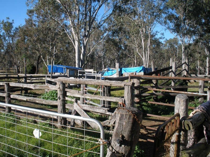 21 Darli Street, Nanango QLD 4615