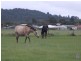 Lot 13 First Avenue, Kingaroy QLD 4610