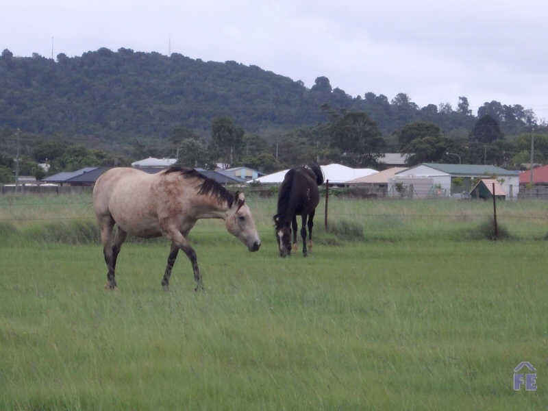 Lot 14 First Avenue, Kingaroy QLD 4610