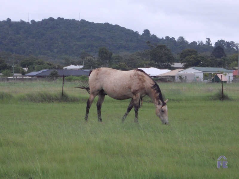 Lot 14 First Avenue, Kingaroy QLD 4610