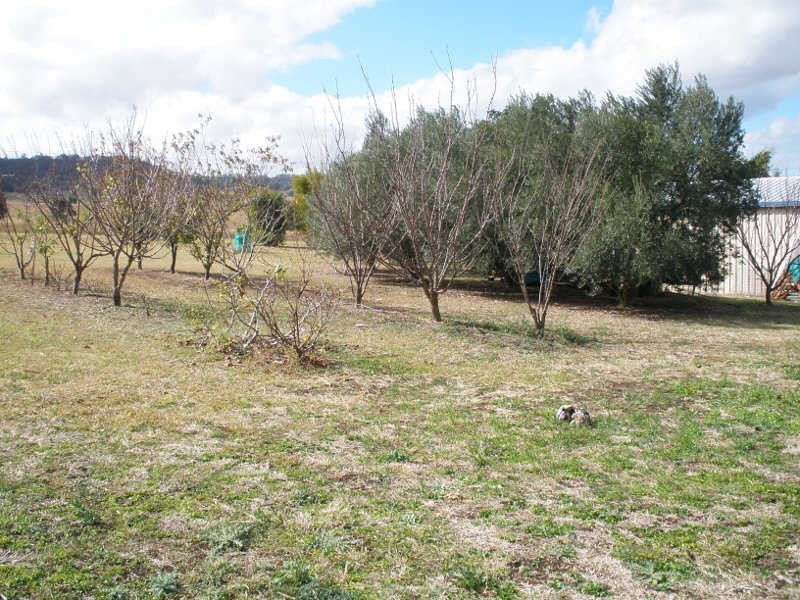 177 Butler Drive, Proston QLD 4613