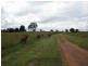 198 Spencers Road, Kingaroy QLD 4610