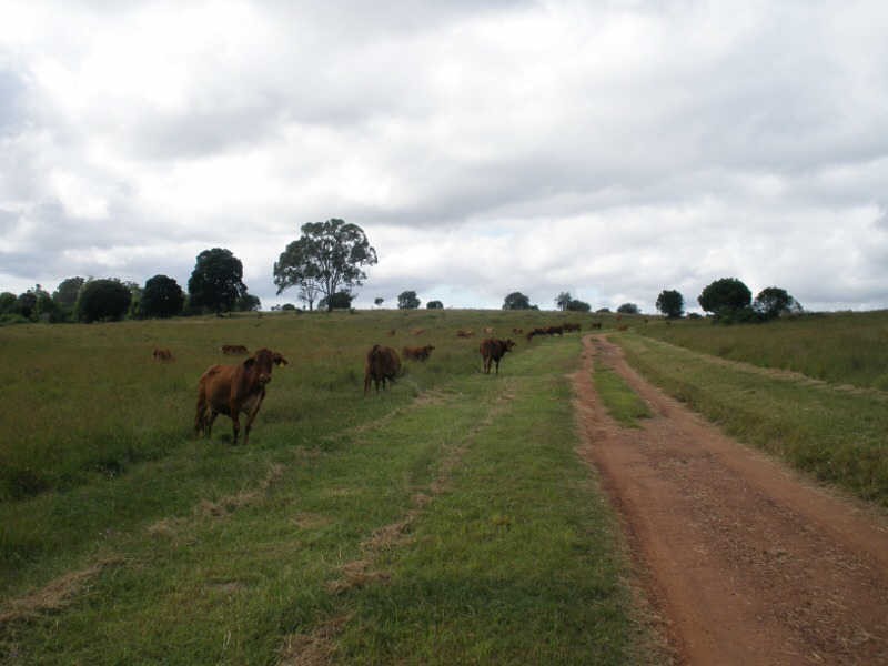 198 Spencers Road, Kingaroy QLD 4610