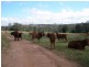 198 Spencers Road, Kingaroy QLD 4610