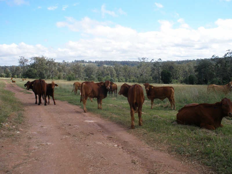 198 Spencers Road, Kingaroy QLD 4610