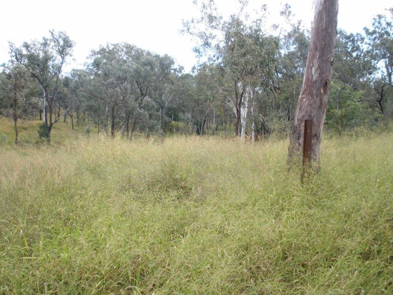 Lot 8 Murphys Way, Proston QLD 4613
