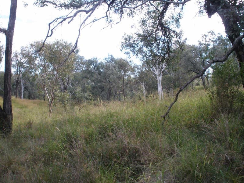 Lot 8 Murphys Way, Proston QLD 4613
