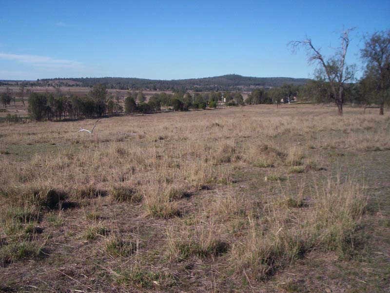 Lot 2 Brooklands Pimpinbudgee Road, Brooklands QLD 4615