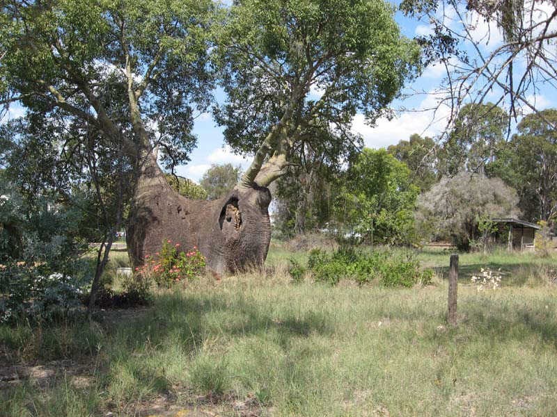 20 Reen Street, Kingaroy QLD 4610