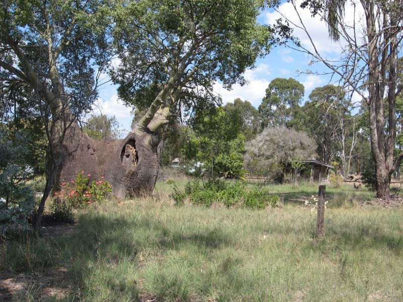 20 Reen Street, Kingaroy QLD 4610