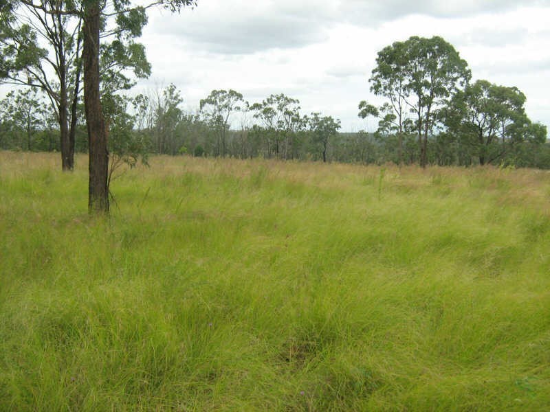 Lot 84 Hilltop Drive, Ellesmere QLD 4610